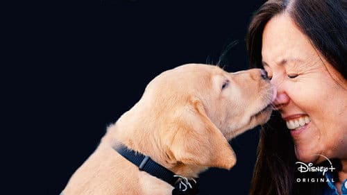 Hundeleben – Vom Welpen zum Blindenhund Bild 3