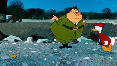 Das Grand-Canyon-Skop Bild 2