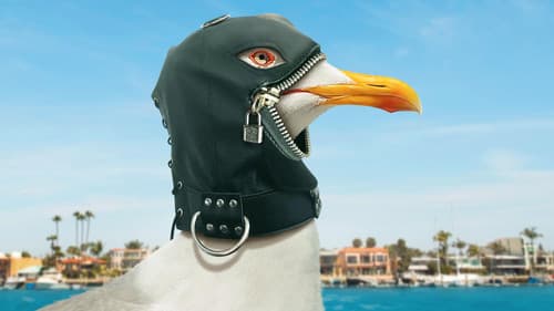 The Guest Book Bild 6