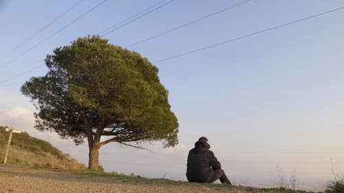 Todo Por Jugar Bild 2