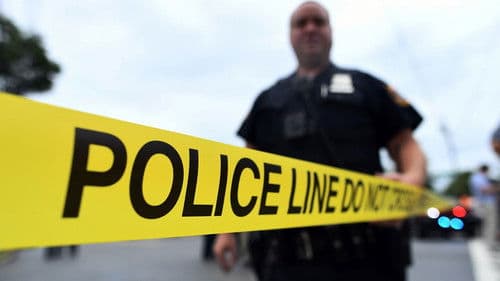 Live PD: Police Patrol Bild 3