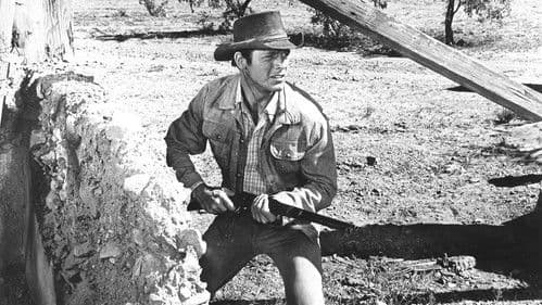 Heiße Colts in harten Fäusten Bild 1