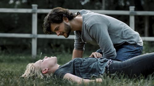 Gestüt Hochstetten Bild 4