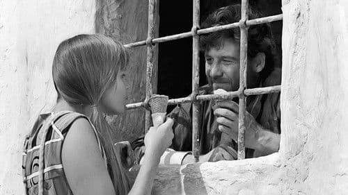 Ich hab' die Liebe geseh'n Bild 2