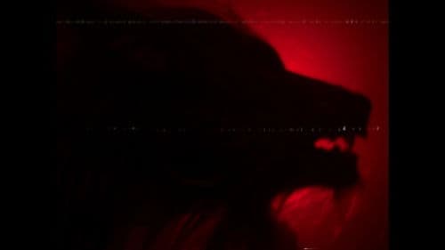 American Werewolves Bild 3