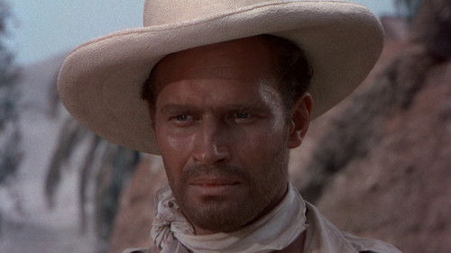 Wenn die Marabunta droht Bild 5