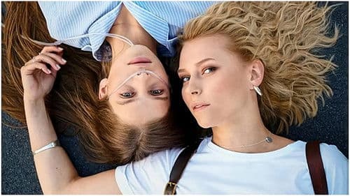 The Companion Bild 1