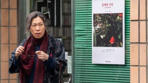 내 이름은 Bild 2