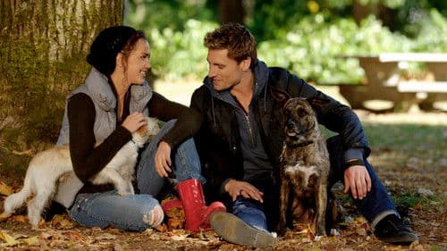 Eine Braut zu Weihnachten Bild 6