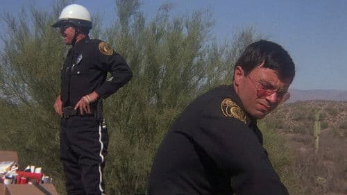 Harley Davidson 344 Bild 6