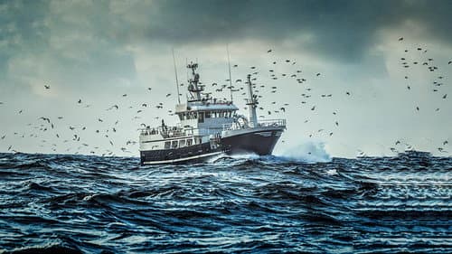 East Harbour Heroes Bild 1