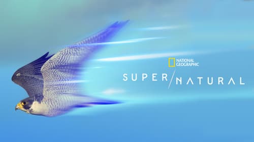 Super/Natural Bild 6
