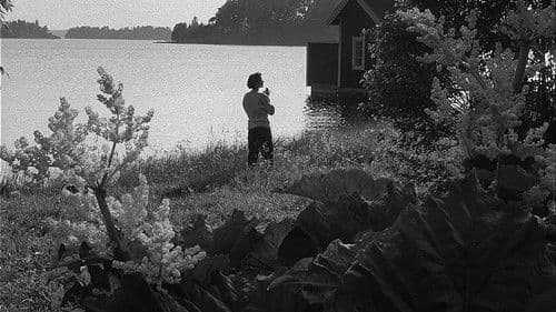 Die Sehnsucht der Frauen Bild 8