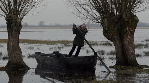 Kita Tylos Pusė Bild 1