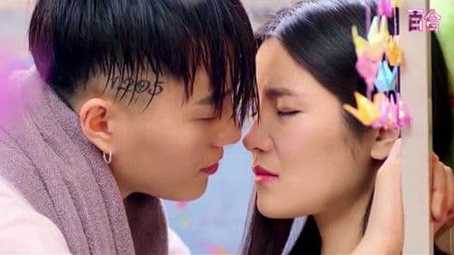 错了性别, 不错爱 Bild 1