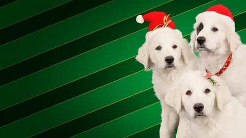 Santa Buddies - Auf der Suche nach Santa Pfote Bild 1