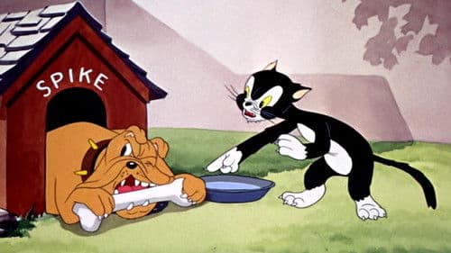 The Cat's Tale Bild 1