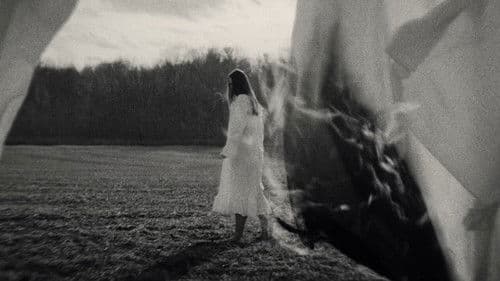 A Song For William Bird Bild 3