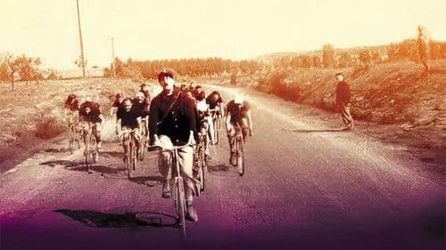 Die Schule der Briefträger Bild 1