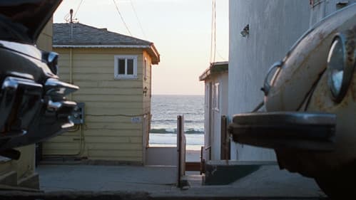 Inherent Vice - Natürliche Mängel Bild 4