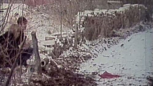 Paradies. Eine imperialistische Tragikomödie Bild 1