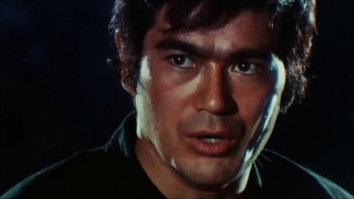 Sonny Chiba - Der unerbittliche Vollstrecker Bild 2