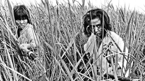 Onibaba - Die Töterinnen Bild 7