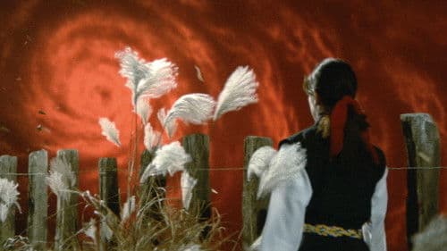 女必殺拳　危機一発 Bild 8