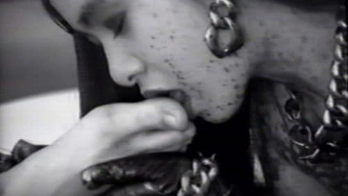 A Garden Without Birds Bild 1