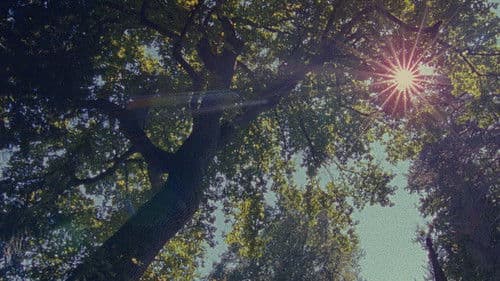 The May Bench Bild 1