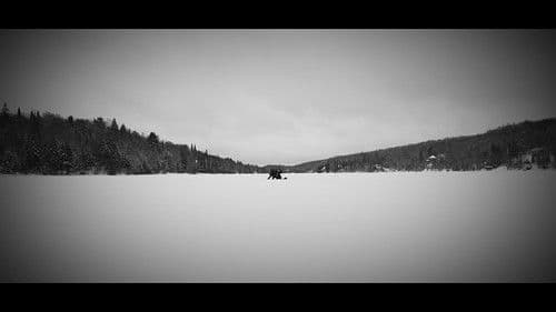 Echoes Of Ivory Bild 3