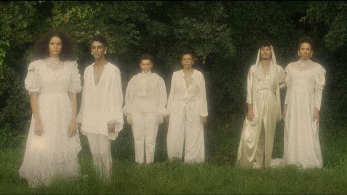 Soleils bruns Bild 1