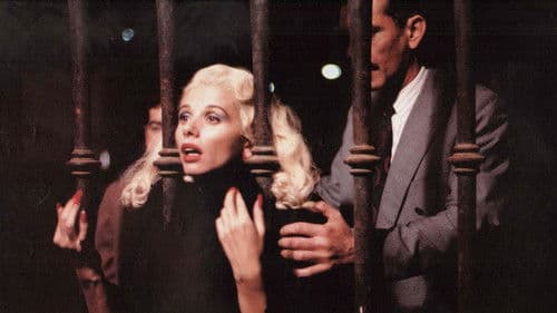 Si te dicen que caí Bild 2