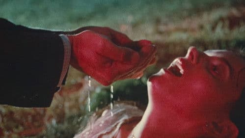 Pásla kone na betóne Bild 2