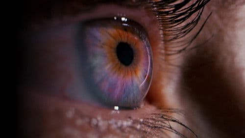 El gran aviso Bild 1