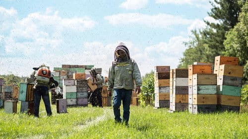 La classe ouvrière Bild 2