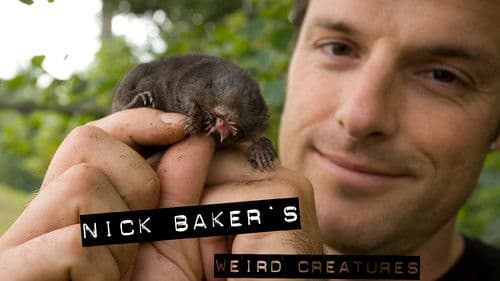 Nick Baker's Weird Creatures Bild 3