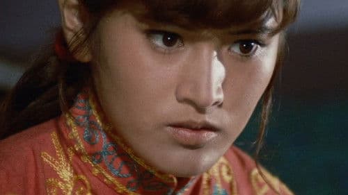 帰って来た女必殺拳 Bild 3