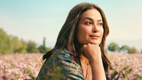 Auf der Suche nach Ola Bild 3