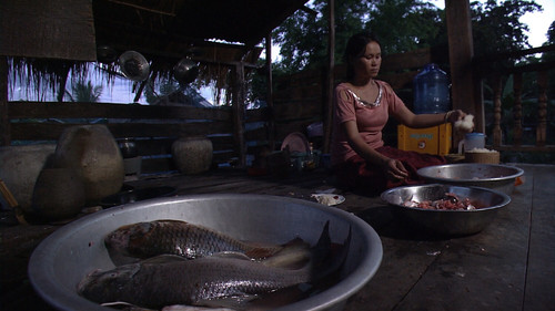 슈퍼피쉬 - 끝없는 여정 Bild 1