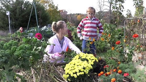 The Open Door Bild 1