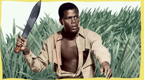 Flammen über Afrika Bild 2