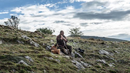 Wie wilde Tiere Bild 8