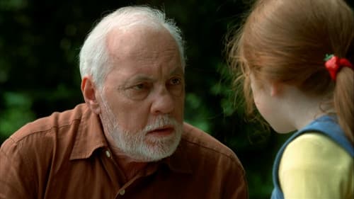 Der Schmetterling Bild 7