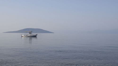 84 Μέρες Καλοκαιριού Bild 1