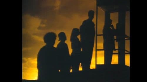 Mr. Petrified Forrest Bild 1