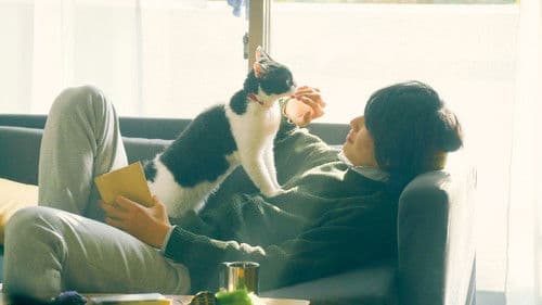 旅猫リポート Bild 2