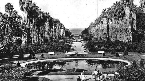 Alger Et Ses Environs Bild 1