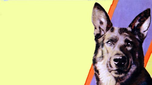 On the Border Bild 1