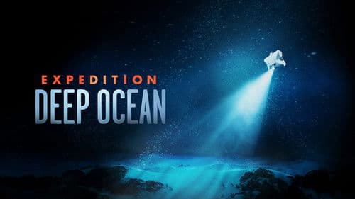Deep Ocean - Expedition in die Tiefsee Bild 2